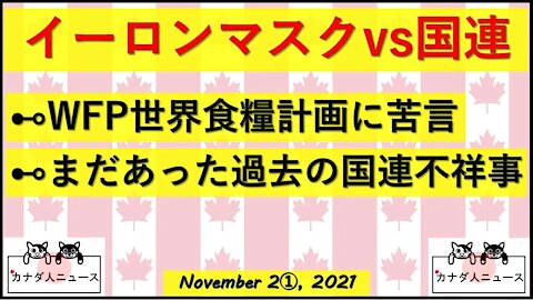 Eマスクvs国連/過去の不祥事