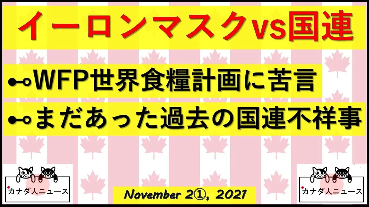 Eマスクvs国連/過去の不祥事