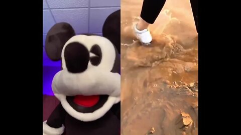 Viral videos and Trending videos for entertainment(2)