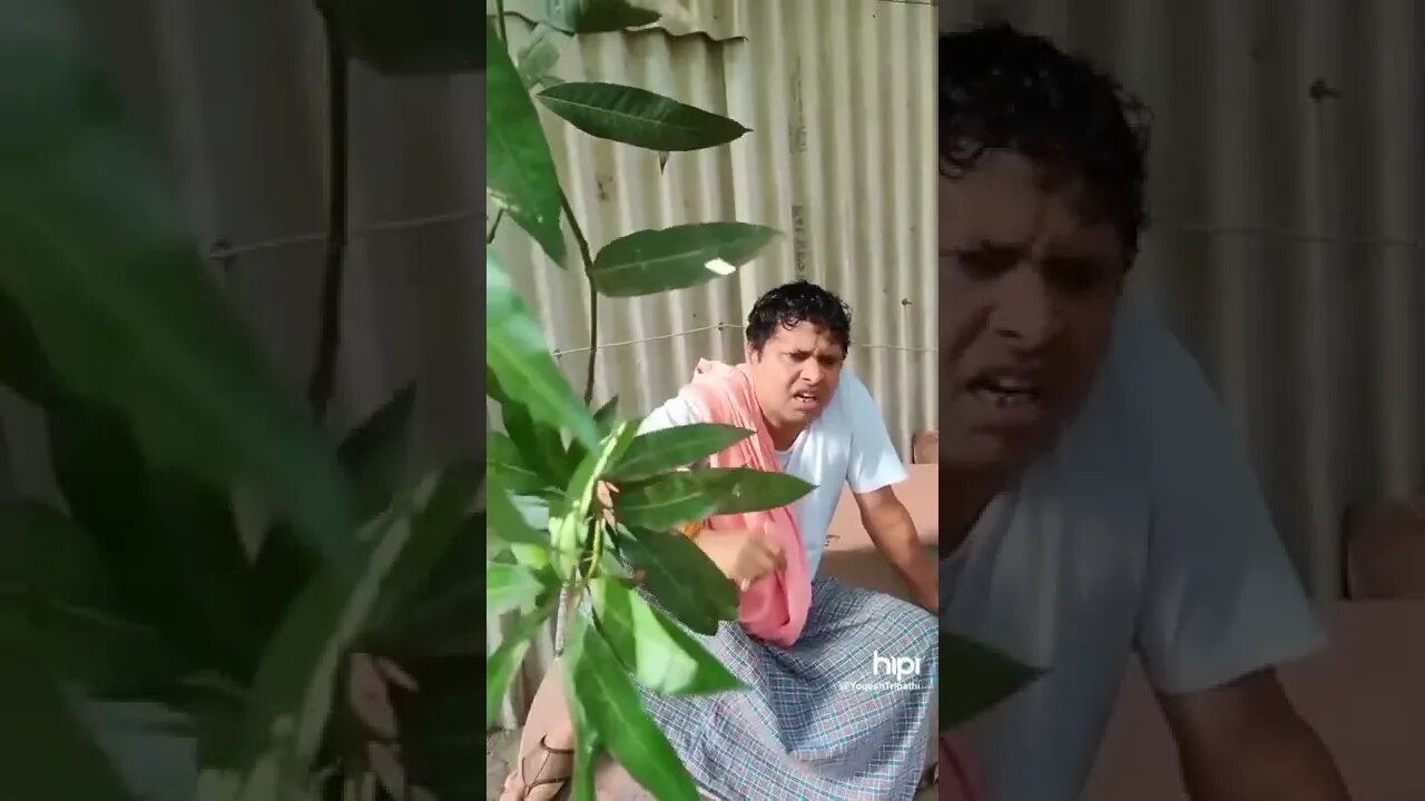 gutka ke daam.