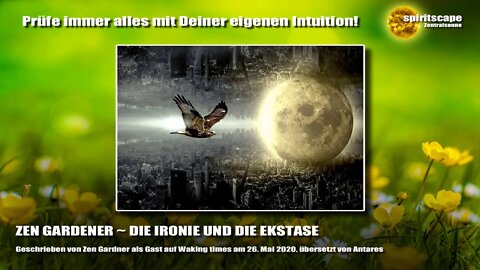 ZEN GARDENER ~ DIE IRONIE UND DIE EKSTASE - Transinformation