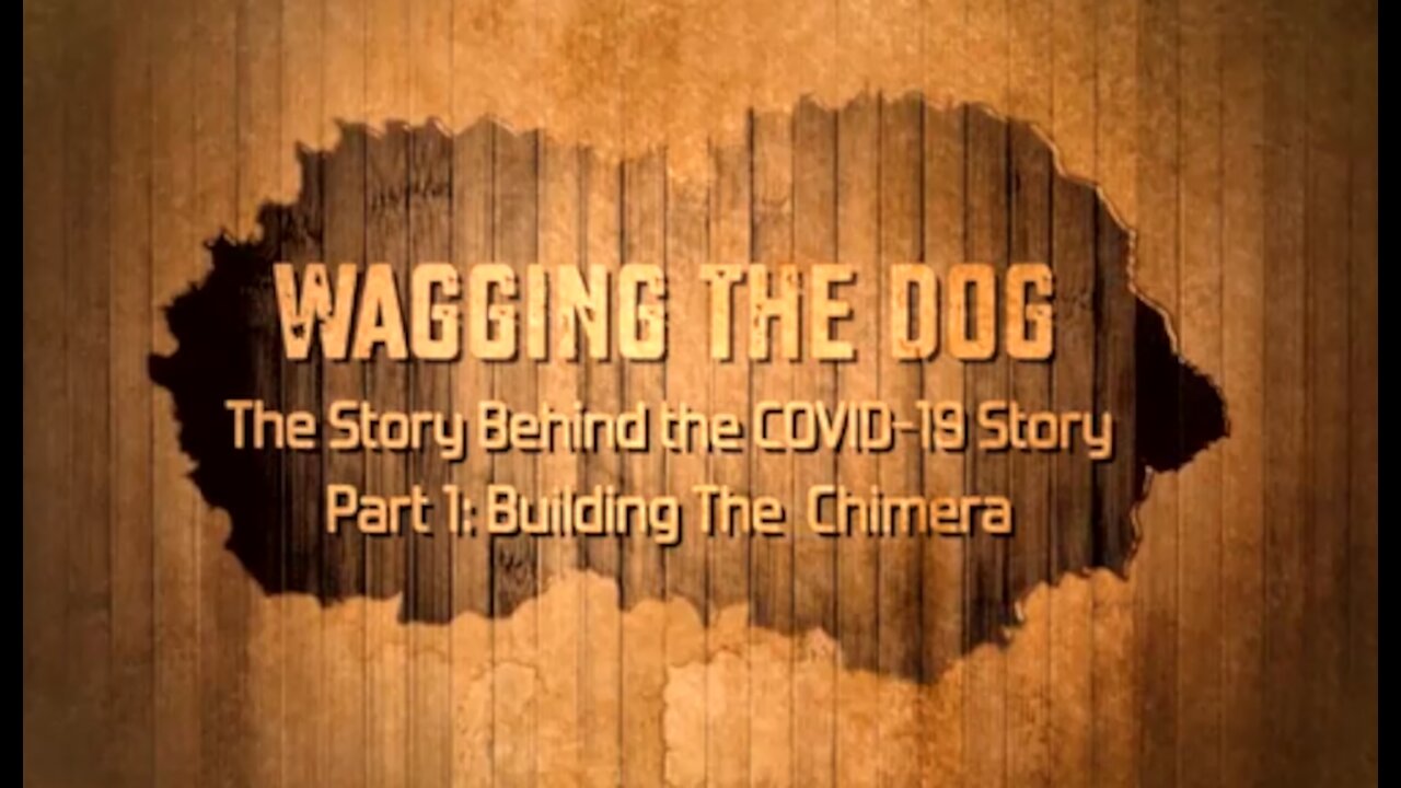 Wagging The Dog Part 1 -The Story Behind The Story Of Covid-19