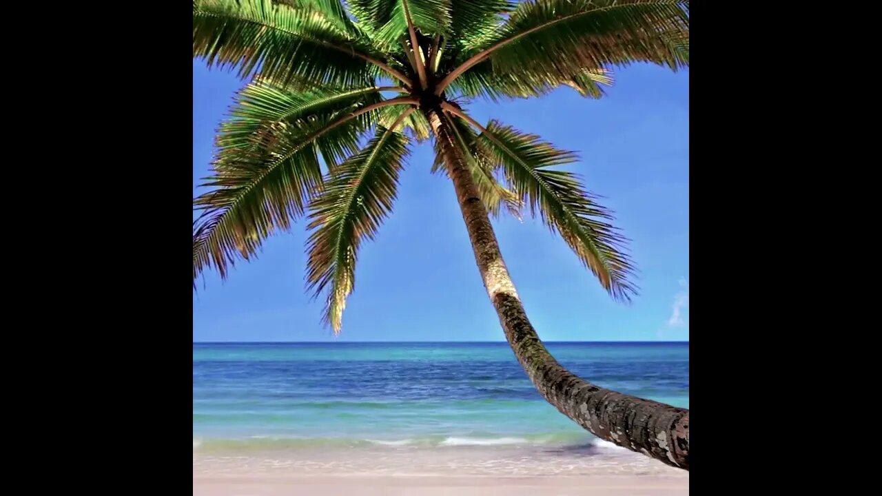 04 Gratis backround Tema Pantai untuk Video Instagram