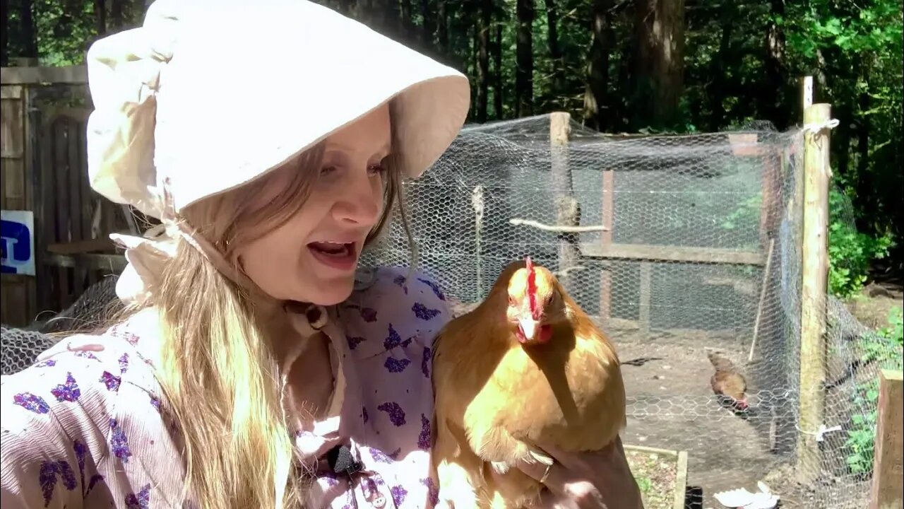 Talking is Hard, Garden and Chicken Yard Tour, Baby Hens, and What's New