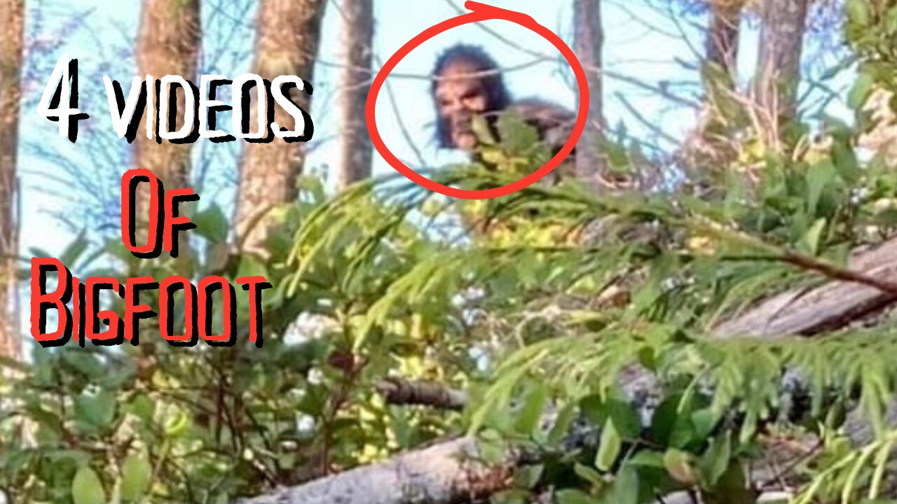 4 scary Bigfoot encounters.