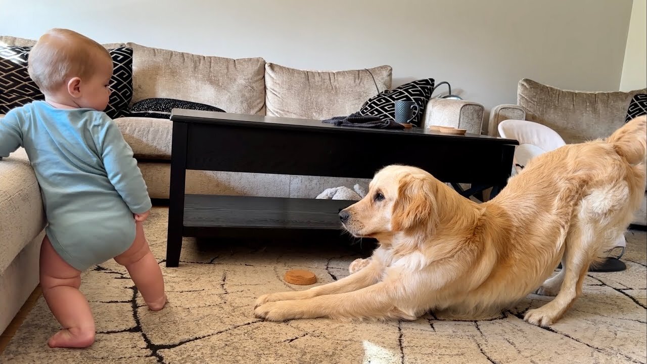 Adorable Baby Boy Talks To His Golden Retriever! (Cutest Ever!!)