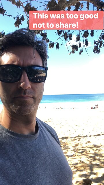 Great perks remote job?