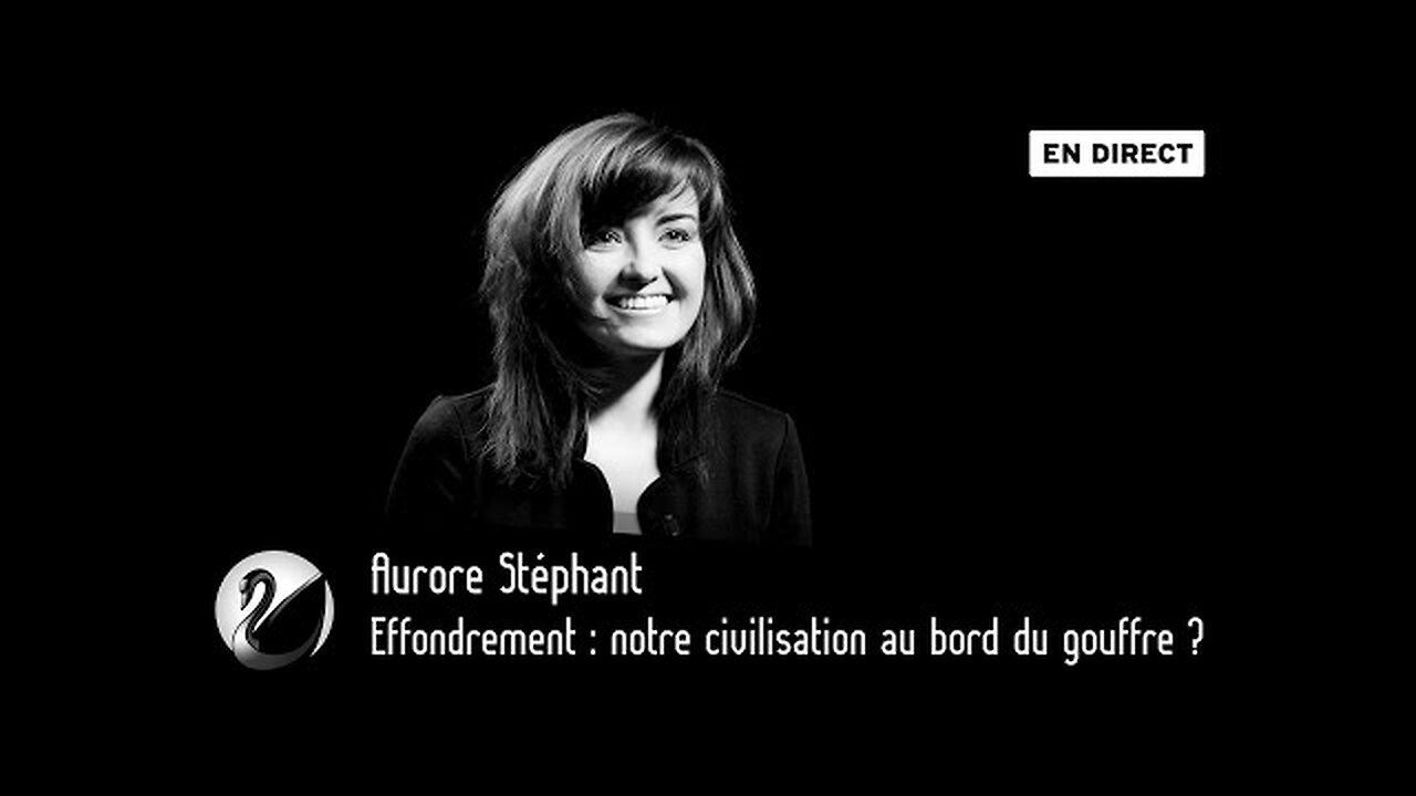 Thinkerview - Effondrement : notre civilisation au bord du gouffre ? Aurore Stéphant [Flokossama]