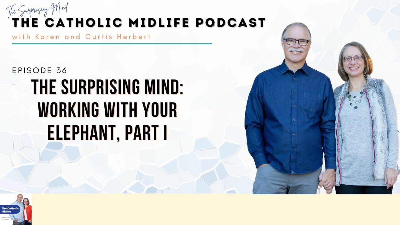 Episode 36 - The Surprising Mind: Working with your elephant, Part I