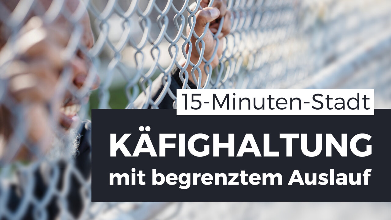 Käfighaltung mit begrenztem Auslauf