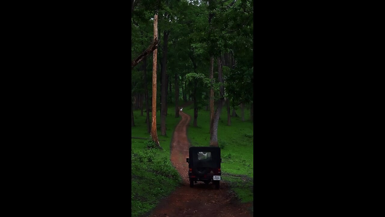 nature