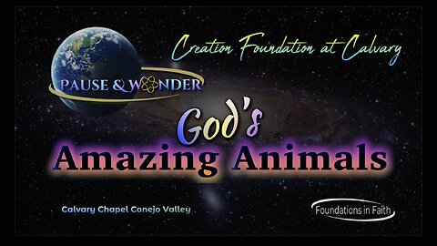 Study 4 - Pause & Wonder "God's Amazing Animals"