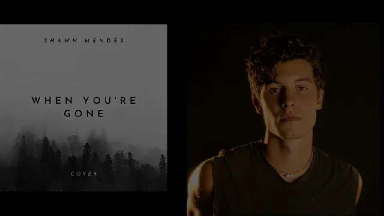 WHEN YOU'RE GONE - Shawn Mendes | Hollywood's Lyrics #65