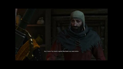 The Witcher 3: Wild Hunt Part 103-The Fake Witcher