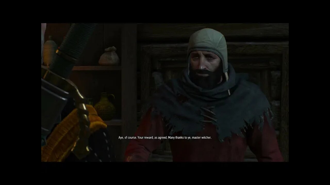 The Witcher 3: Wild Hunt Part 103-The Fake Witcher