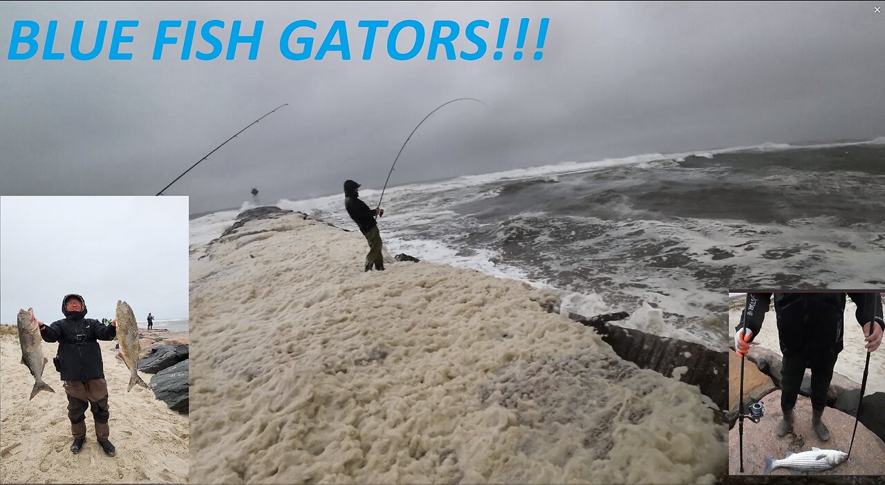 Gator Blue Fish 😍😍Long Island WIND AND RAIN!!! New York City