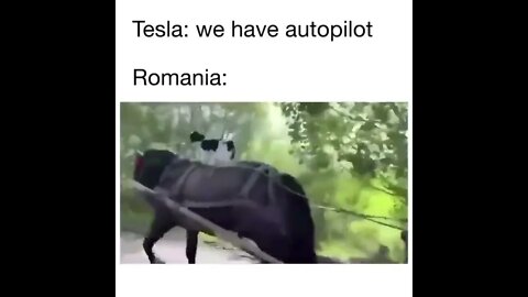 Romanian Autopilot