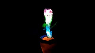 Dancing Cactus