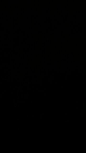 Meat from McDonald’s