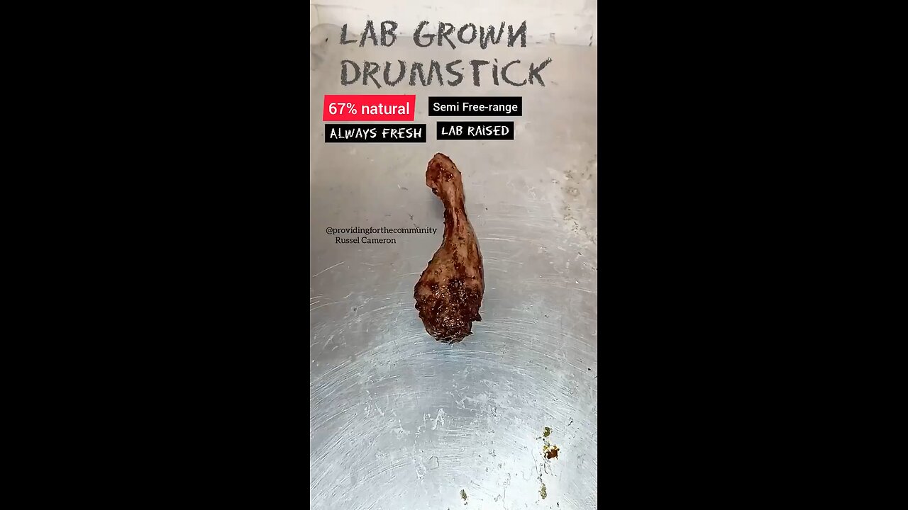 Lab-grown mystery meat looks like something out of a horror movie.