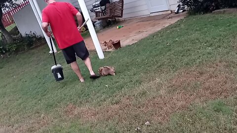 J Litter-Outside Fun [10/27](2)