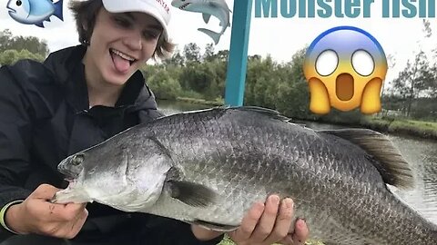 Fishing for Monster Barramundi