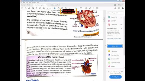 Science class 7 14 4 2021