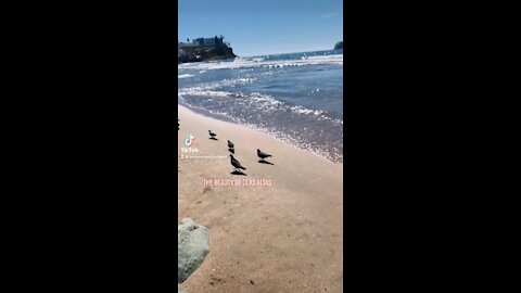 Olas Altas 🏖 Mazatlán