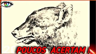 ILUSÃO DE ÓTICA: VOCÊ É CAPAZ DE UM ROSTO HUMANO ? #ilusaodeotica