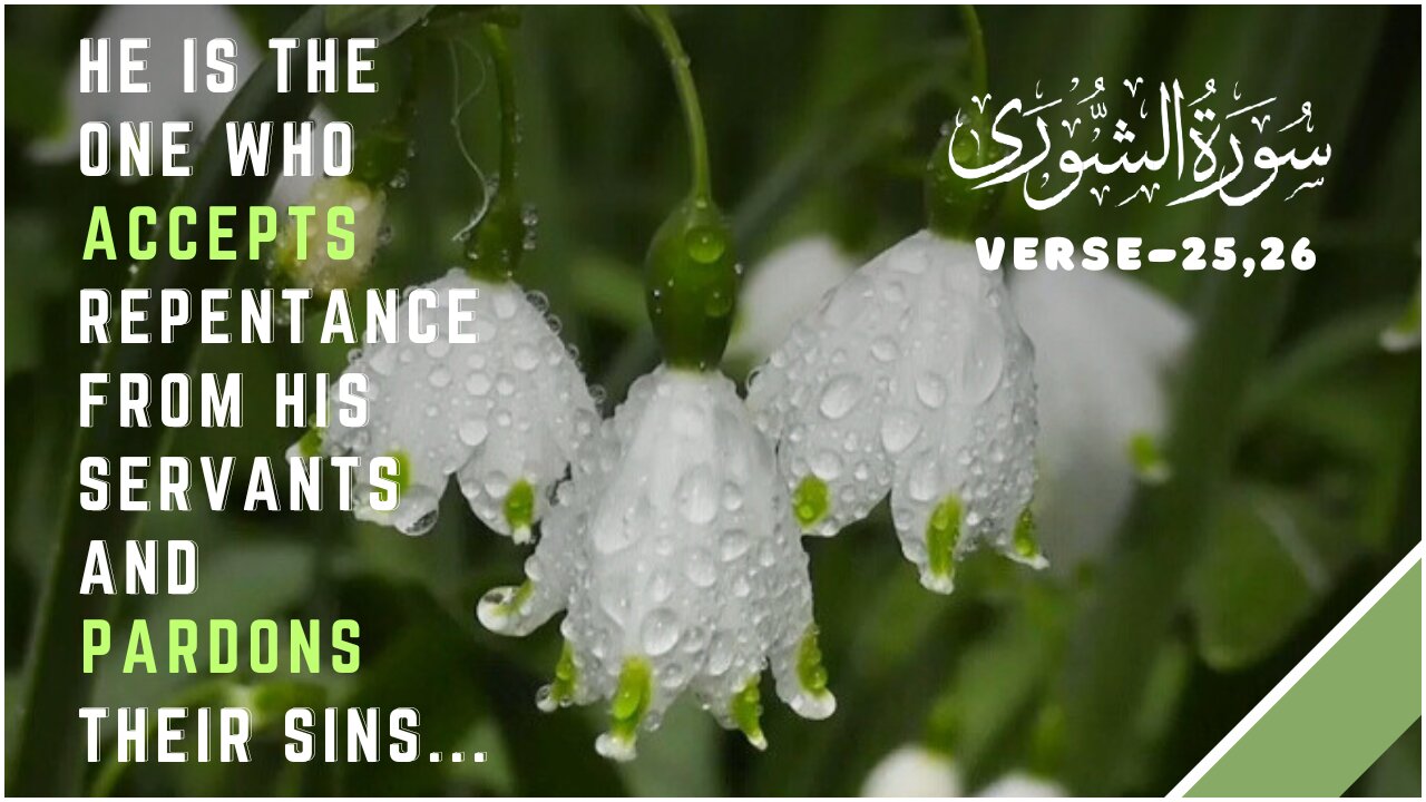 Holy Qur'an.Recitation of Surah Ash Shuraa,Verse-25,26💕