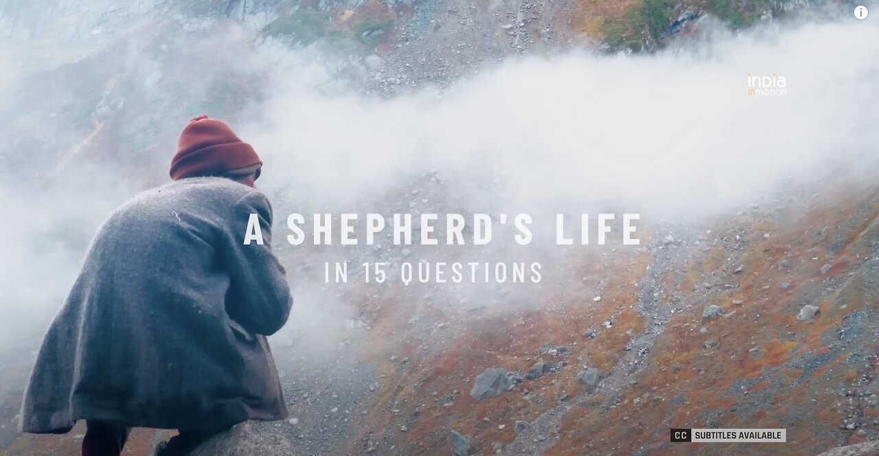 A Shepherd's Life | Conversations with a Himalayan Shepherd