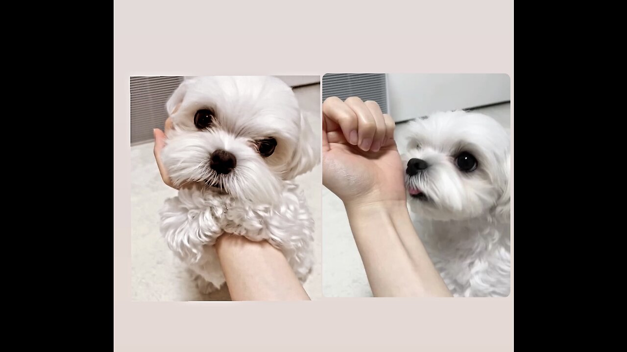 Cute moment ever!!