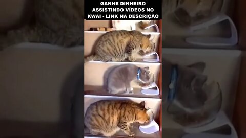 tá explicado porque não sobra dinheiro no fim do mês
