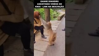 foi mexer com o macaco e levou uma surra