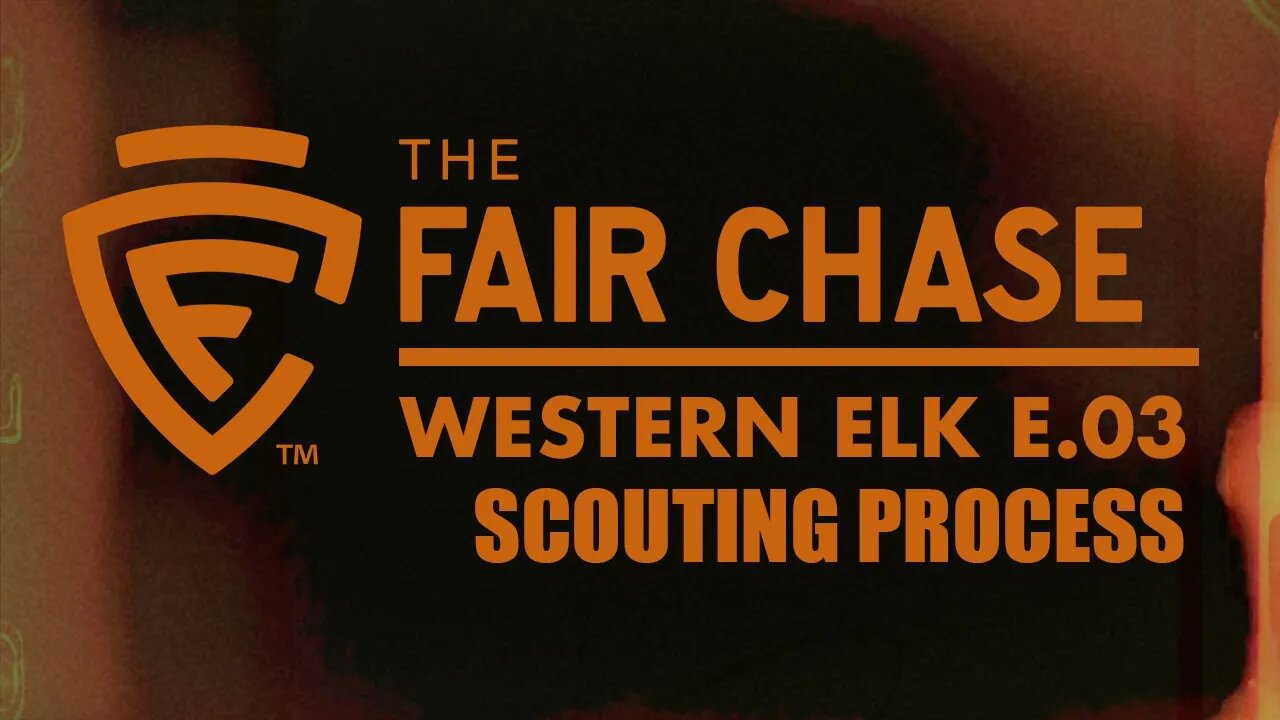 Chasing Elk Part 3: Scouting for Elk