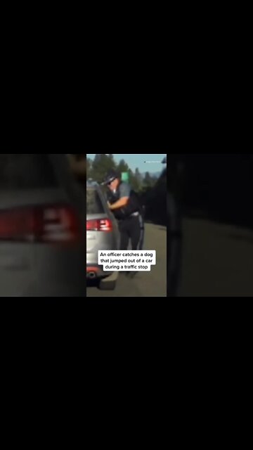 During a traffic stop, an Oregon State police officer catches a puppy that leaped out of a car