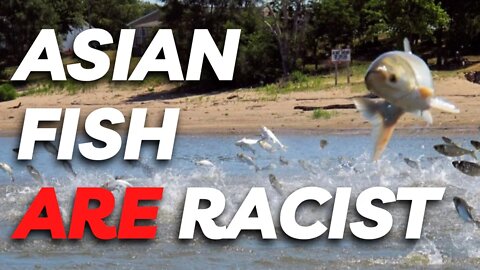 Asian Fish Are Racist?