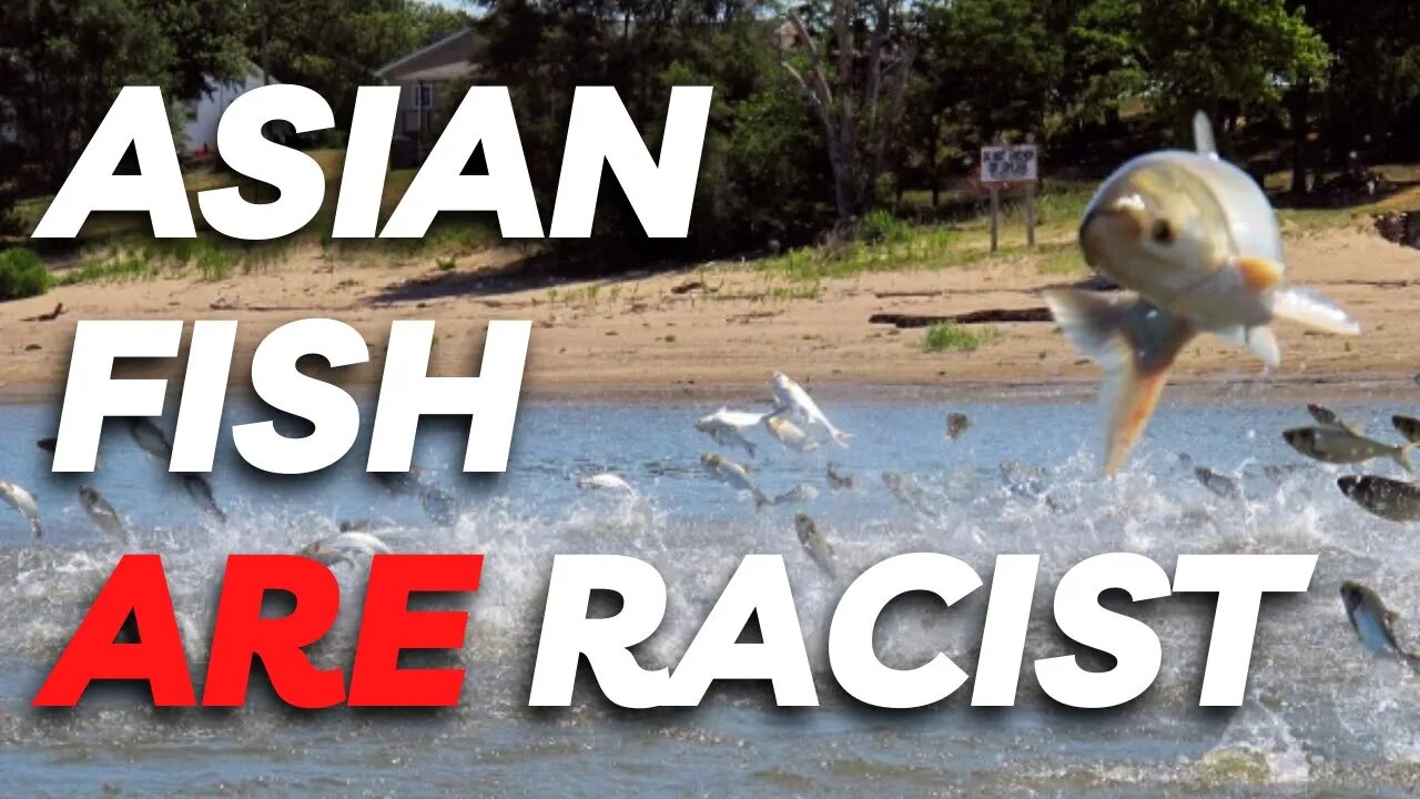 Asian Fish Are Racist?