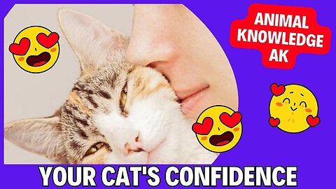 GAIN YOUR CAT'S TRUST