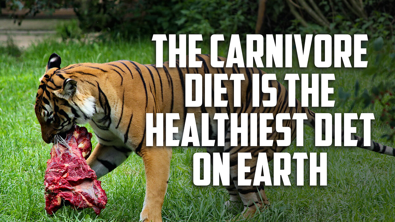 The Carnivore Diet Is the Healthiest Diet on Earth (Here’s Why)