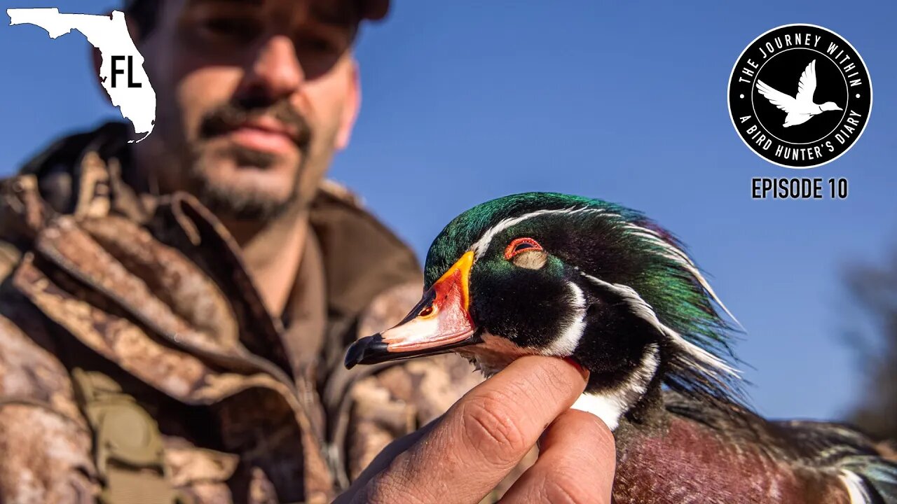 Duck Hunting Florida - Wood Duck, Mottled Duck and Much More | The Journey Within- Waterfowl Slam