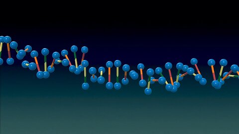 The Y Chromosome Chronicles: The Underdog’s Epic Struggle Against Extinction