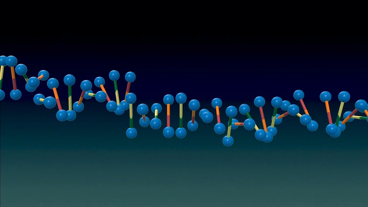 The Y Chromosome Chronicles: The Underdog’s Epic Struggle Against Extinction