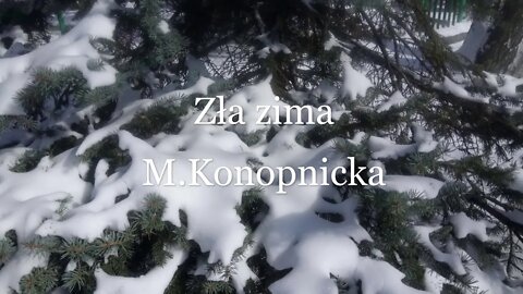 Zła zima- M.Konopnicka