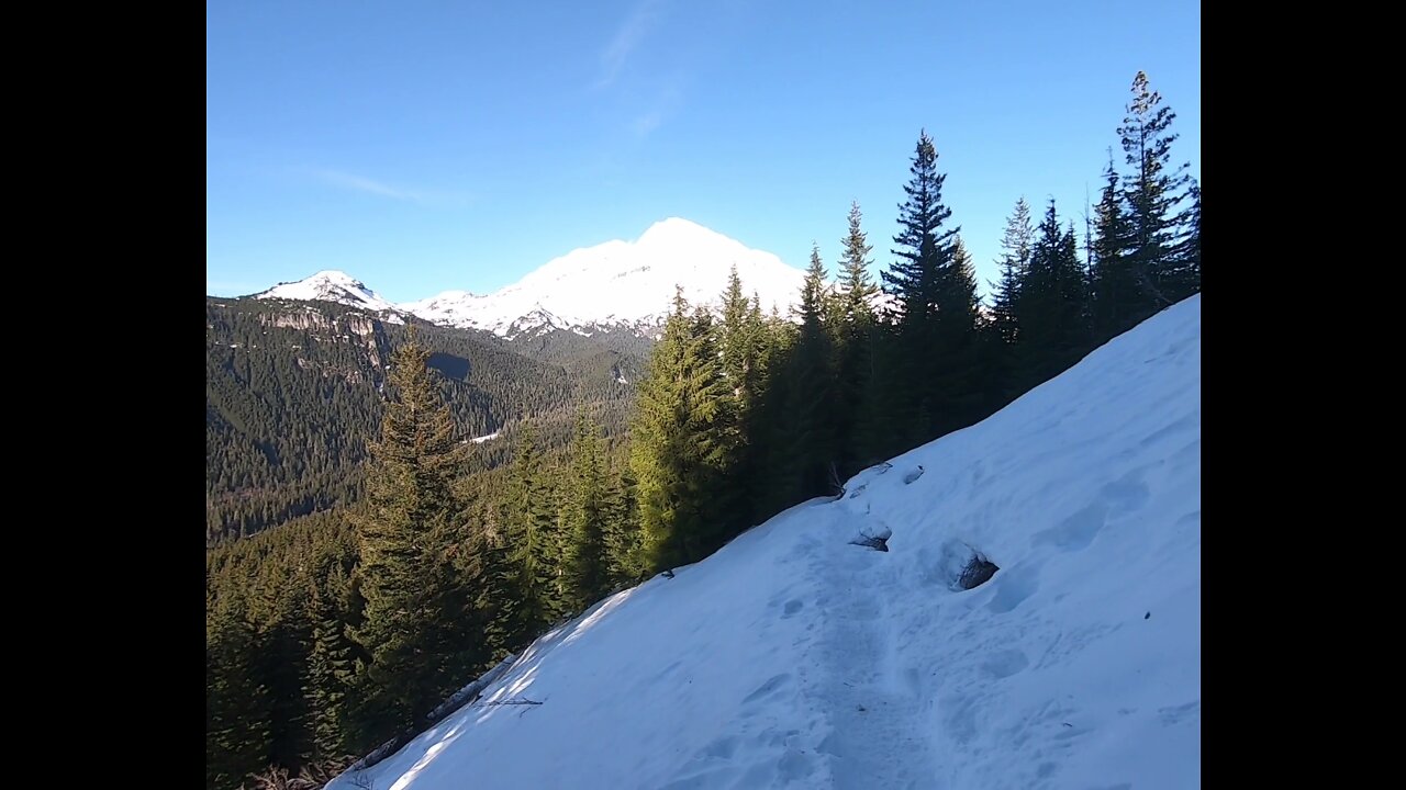 Mt. Rainier Hike - First Hike 2022