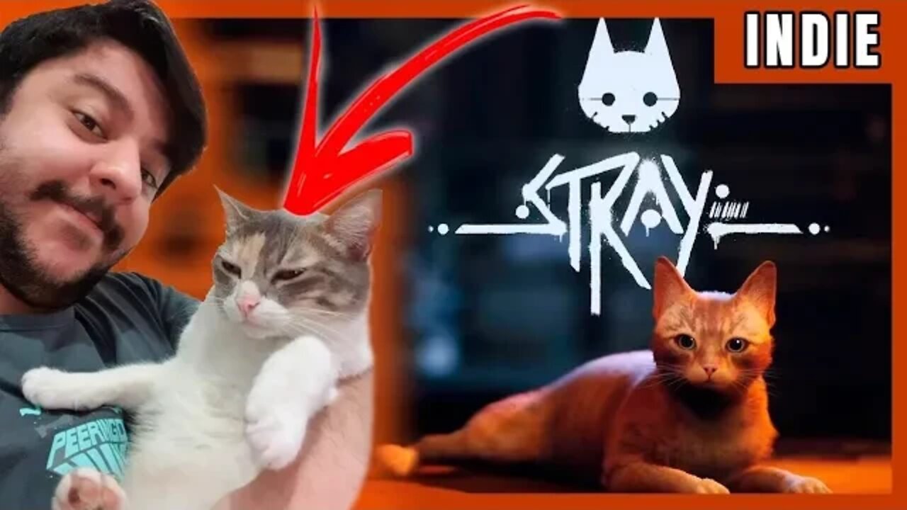 Finalizando jogo do gato - PT 2 - STRAY