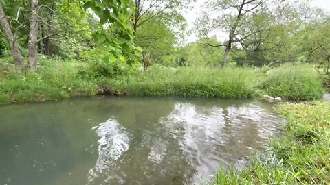 Sunday Morning By The Fishing Hole 🎣