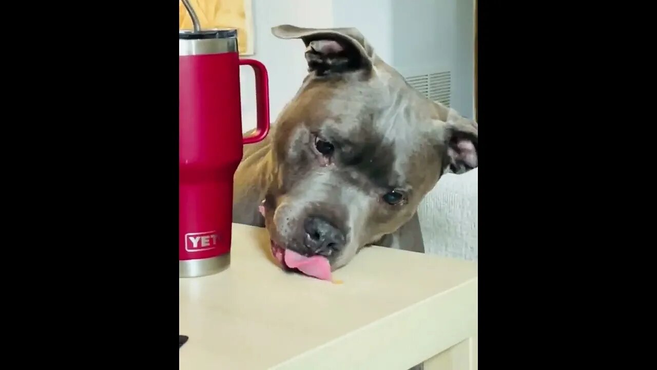 Operation Crumb Recovery