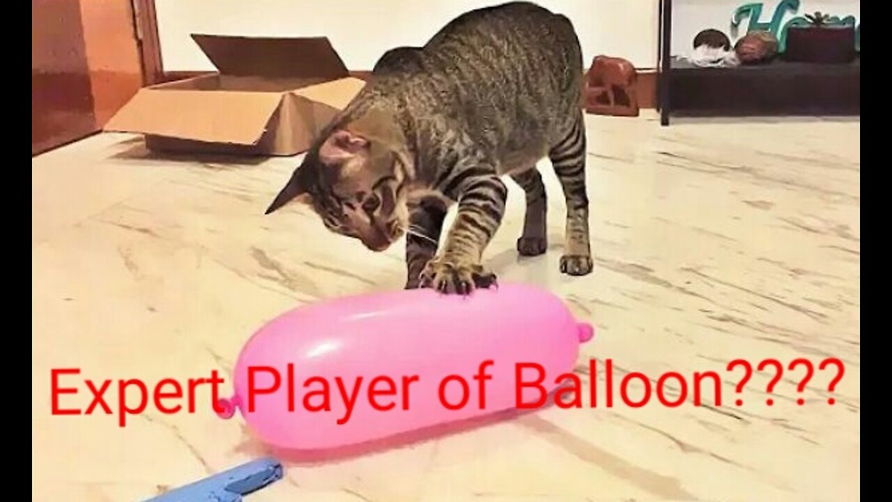 Cat girl playing with Balloon