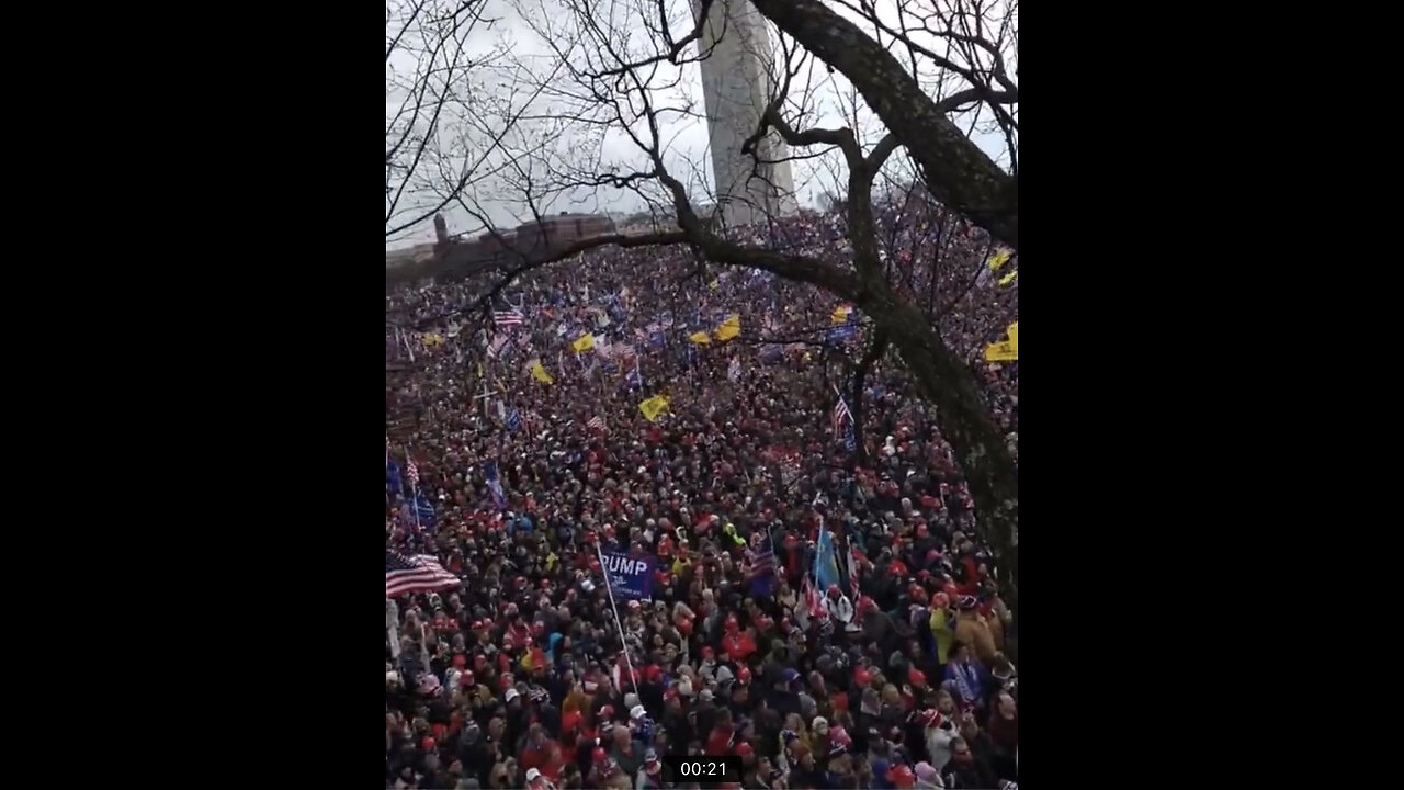 January 6 - The Crowd the MSM will Never Show You